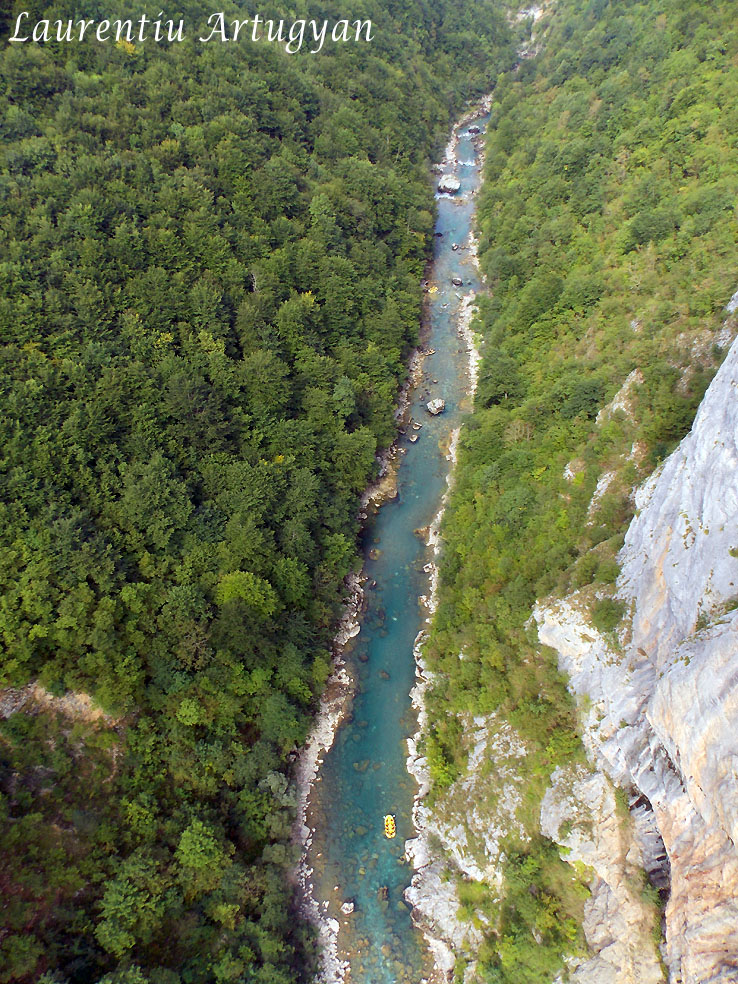 Canionul Tara Muntenegru