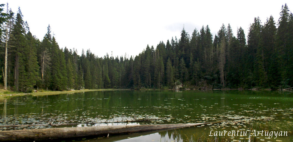 Traseu Crno Jezero – Zminje Jezero – Barno Jezero – Crno Jezero