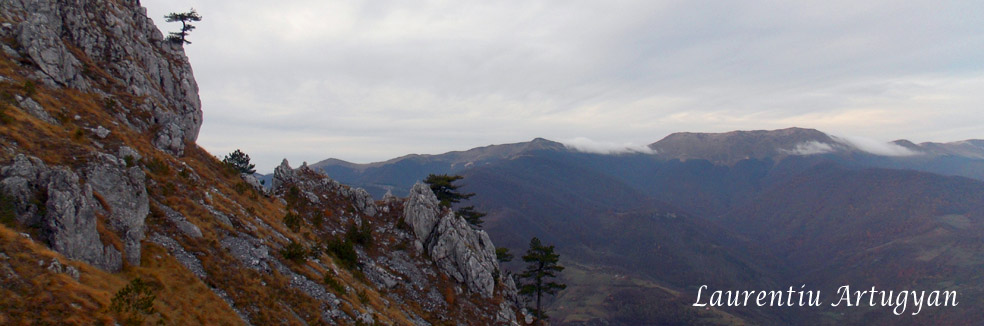 Cheile Tasnei - Pietrele Albe - Crovuri - Cheile Tamnei