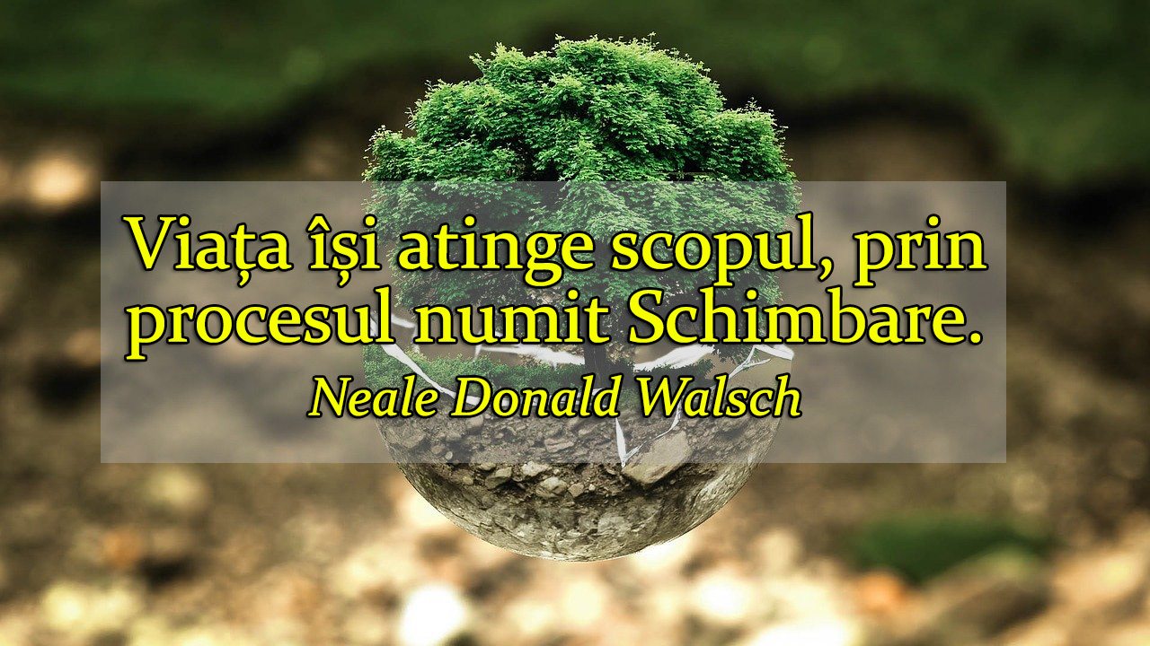 Cand totul se schimba, schimba totul – Neale Donald Walsch
