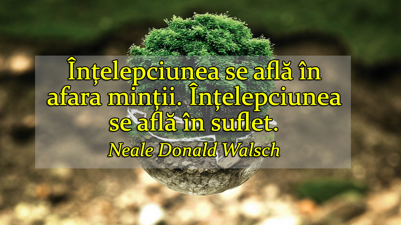 Micul Suflet si Soarele