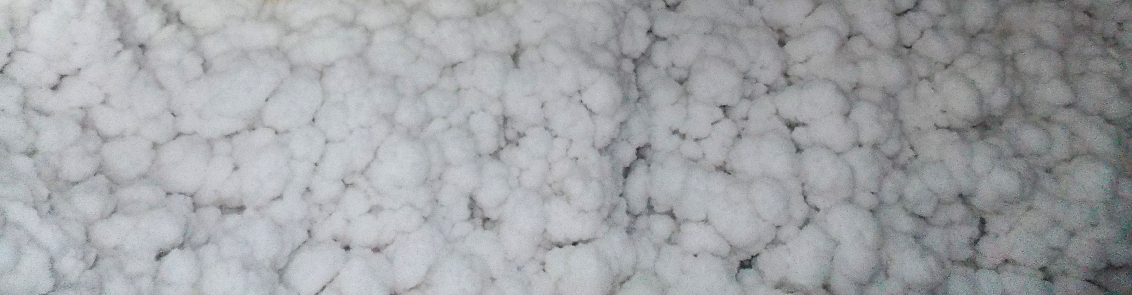 Terapie salina