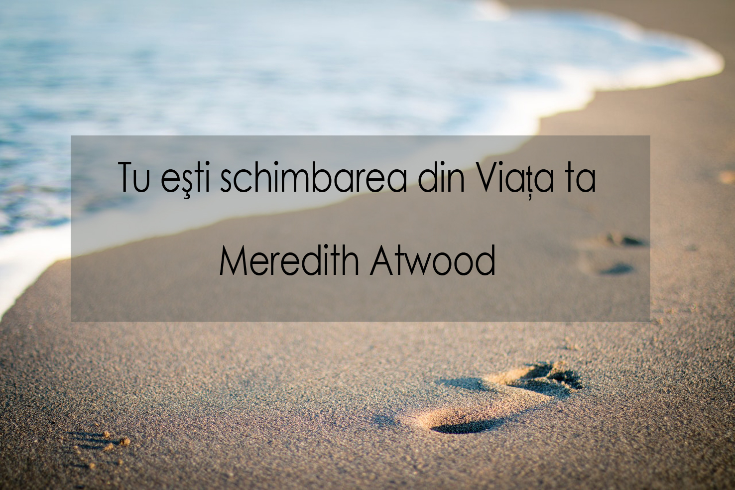 O carte de citit ideala pentru inceputul de an: Anul schimbarii – Meredith Atwood